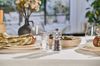 Cole & Mason London Acrylic Salt Shaker & Pepper Mill Gift Set 130mm_33757