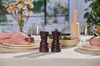Cole & Mason London Chocolate Wood Salt Shaker & Pepper Mill Gift Set 130mm_33716