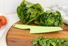 Cuisena Salad Lettuce Knife_32502