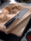 Miyabi 5000FCD Santoku Knife - 18cm_2598
