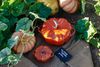 Staub  Cocotte Ceramic Pumpkin 0.5L_13481