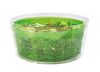 Zyliss Swift Dry' Small Salad Spinner_97