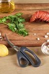 Zyliss Seafood Scissors_34282