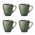 Mikasa Jardin 4-Piece Stoneware Mug Set, 420ml, Green_30863