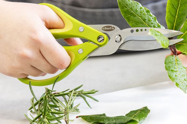 Chef'n Fresh Force Herb Scissors - Strip & Chop