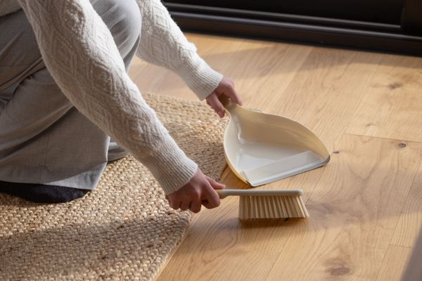 Full Circle Daily Sweep Dustpan & Brush Set