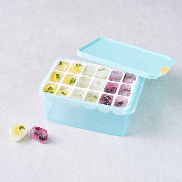 LocknLock Freezer Fit 1.65L + Divider 15ml
