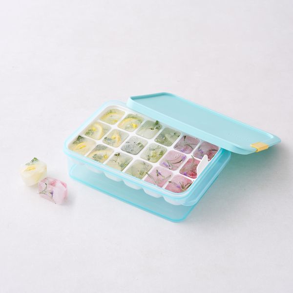LocknLock Freezer Fit 1.65L + Divider 15ml