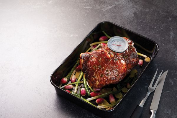 MasterCraft Meat Thermometer