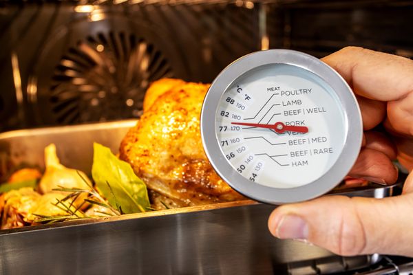 MasterCraft Meat Thermometer