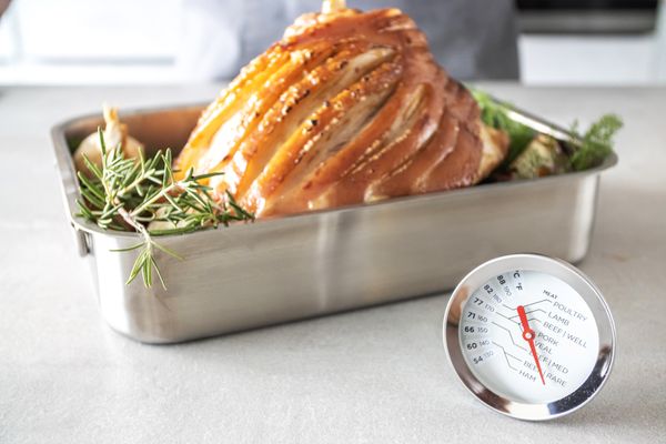 MasterCraft Meat Thermometer