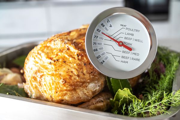 MasterCraft Meat Thermometer