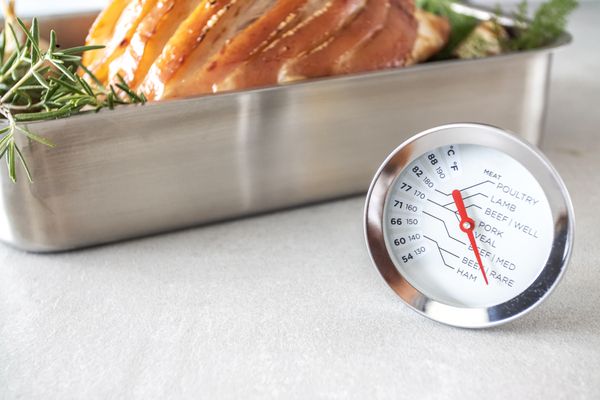 MasterCraft Meat Thermometer