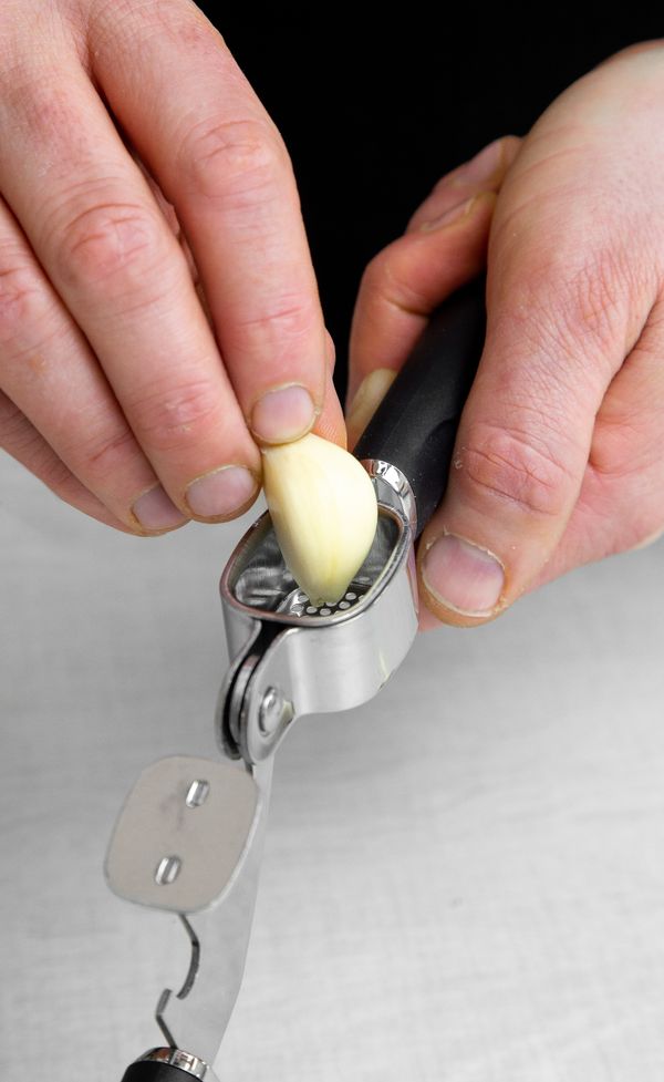 MasterCraft Soft Grip Garlic Press