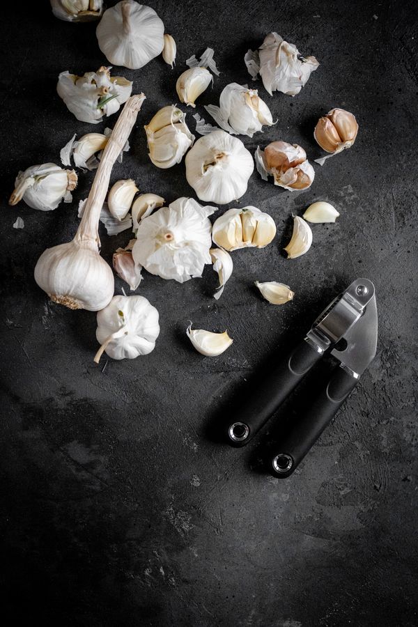 MasterCraft Soft Grip Garlic Press