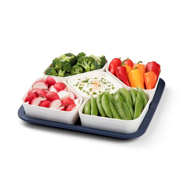 Progressive Snap & Go Party Carrier