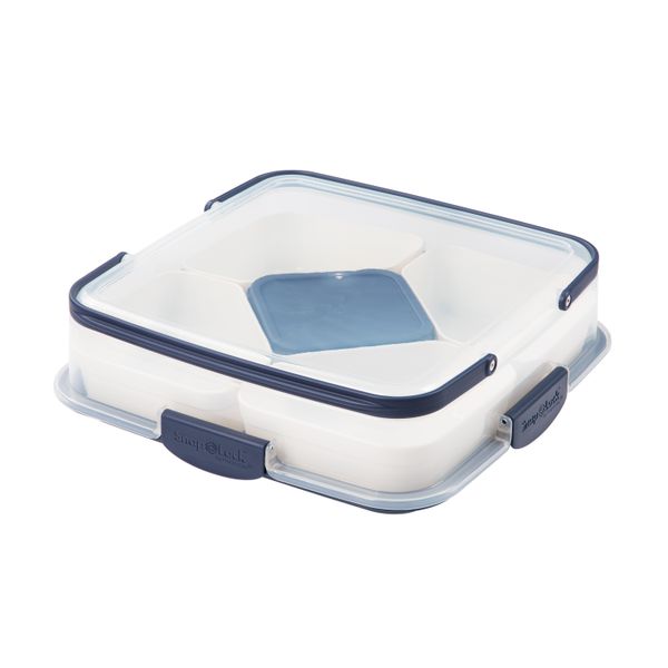 Progressive Snap & Go Party Carrier