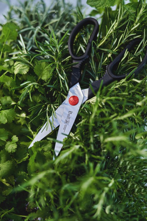 Zwilling TWIN L Multi-Purpose Shears - Black