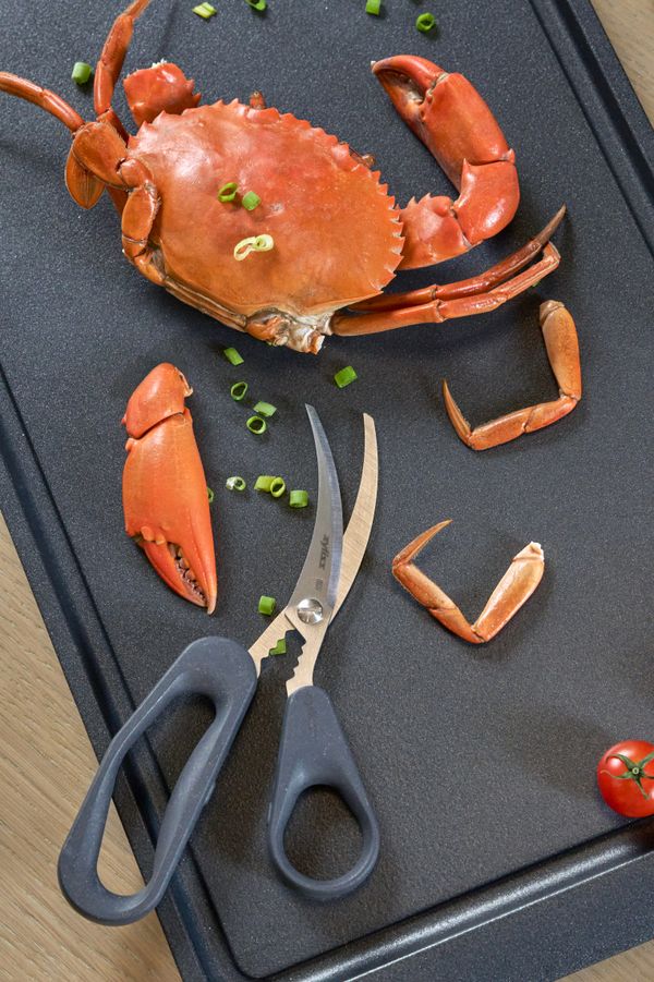 Zyliss Seafood Scissors
