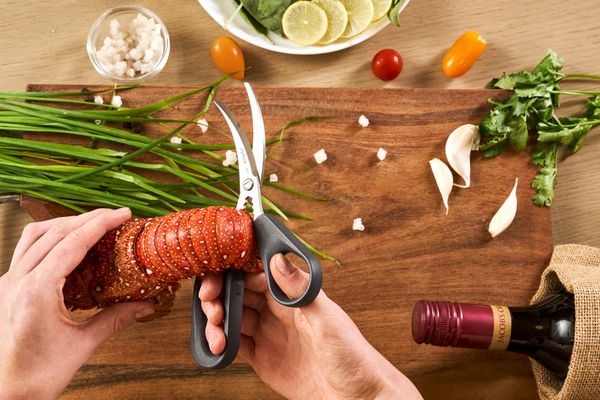 Zyliss Seafood Scissors